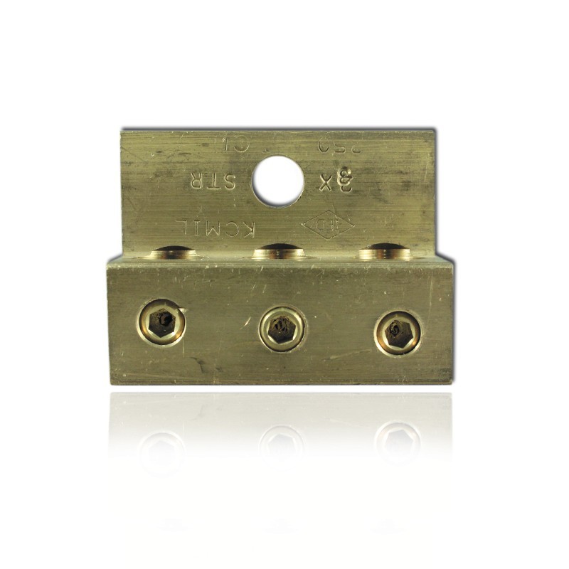 Borna Bristol 3 Hueco No 250 MCM-250 Amp