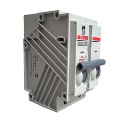 Breaker Enchufable Bipolar 2 X  32 AMP  6/10 KA  Terminal Cobre Proteccion Termomagnetica PT349314E