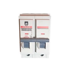 Breaker Enchufable Bipolar 2 X  50 AMP 6/10 KA  Terminal Cobre Proteccion Termomagnetica PT349316E
