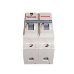 Breaker Enchufable Bipolar 2 X  50 AMP 6/10 KA  Terminal Cobre Proteccion Termomagnetica PT349316E